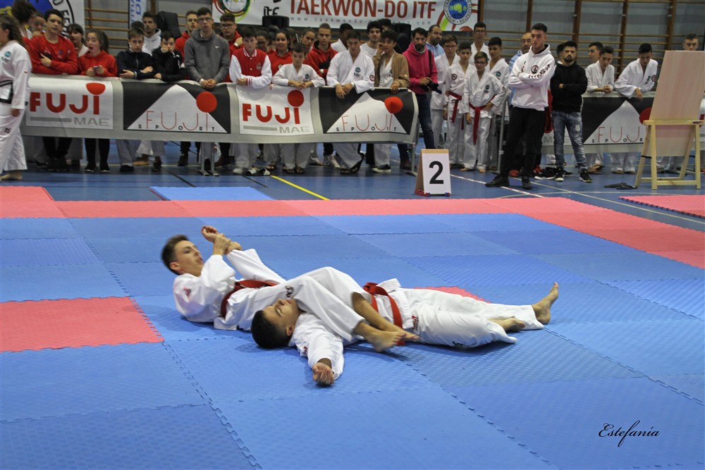 Copa Seul 2018 (358).jpg